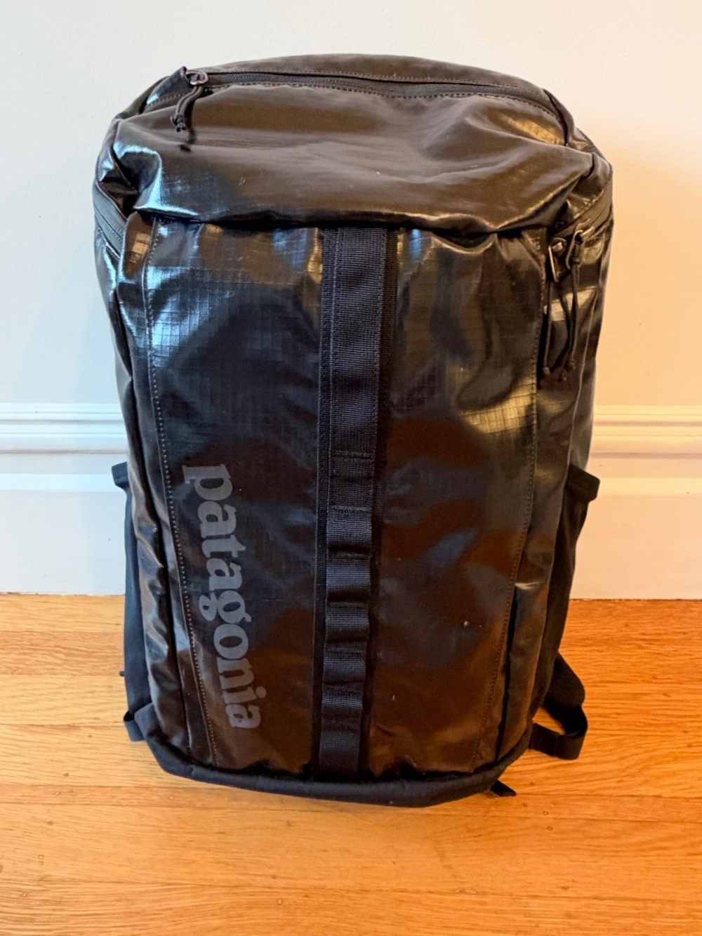 Patagonia Black Hole 25L backpack